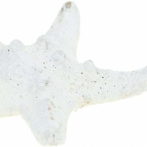 Artikel Noppen Seestern Weiß 30St