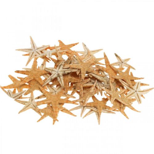 Artikel Seesterne Streudeko Home Deko, Natur, Starfish Mini 2-4cm 50St
