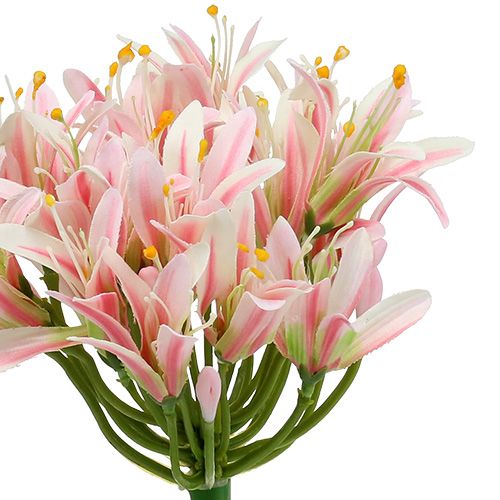 Floristik24 Seidenblume Agapanthus Rosa 80cm