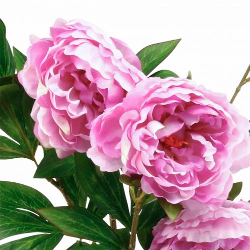Seidenblume Pfingstrose künstlich Pink Violett 135cm