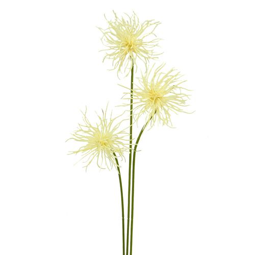 Floristik24 Seidenblumen Xanthium creme 63cm 4St