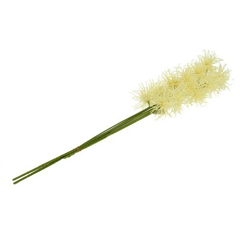 Floristik24 Seidenblumen Xanthium creme 63cm 4St