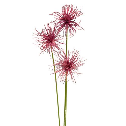 Floristik24 Seidenblumen Xanthium erika 63cm 4St