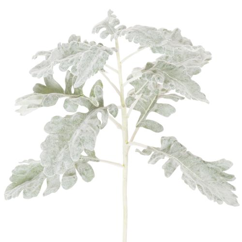 Künstlicher Senecio-Zweig Silberblatt 45cm 3 Stück in Silbergrau | Floristik24.at