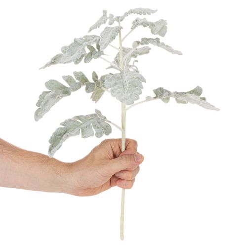 Künstlicher Senecio-Zweig Silberblatt 45cm 3 Stück in Silbergrau | Floristik24.at