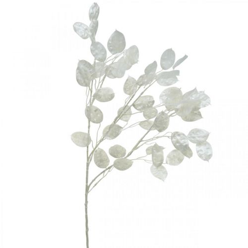 Floristik24 Dekozweig Silberblatt Weiß Lunaria Zweig Kunstzweig 70cm