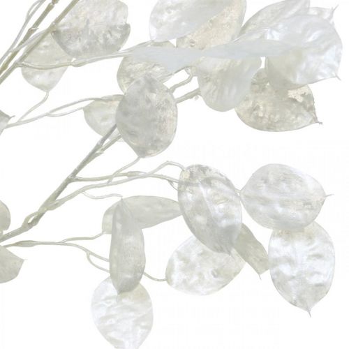 Floristik24 Dekozweig Silberblatt Weiß Lunaria Zweig Kunstzweig 70cm