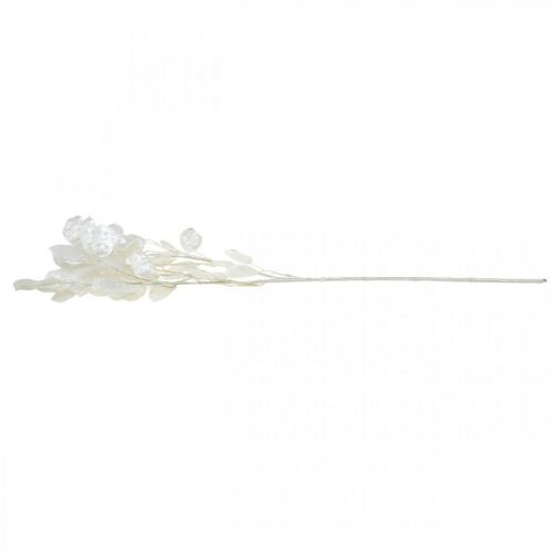 Floristik24 Dekozweig Silberblatt Weiß Lunaria Zweig Kunstzweig 70cm