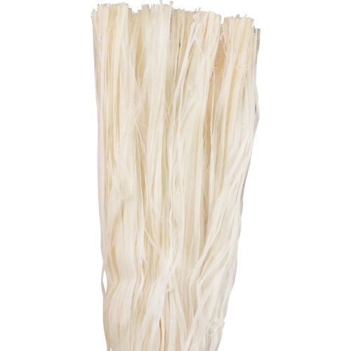 Floristik24 Pflanzliche Naturfasern Skeletonband Naturband Deko 180g