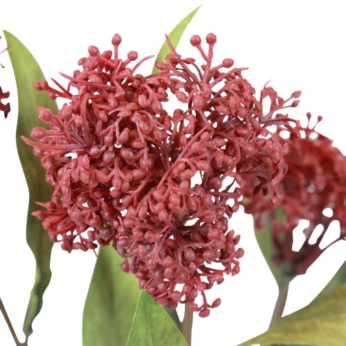 Skimmie Skimmia Japonica Kunstblumen Burgund DryLook L59cm