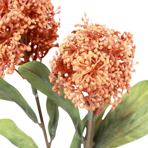 Artikel Skimmie Skimmia Japonica Kunstblumen Orange DryLook L59cm