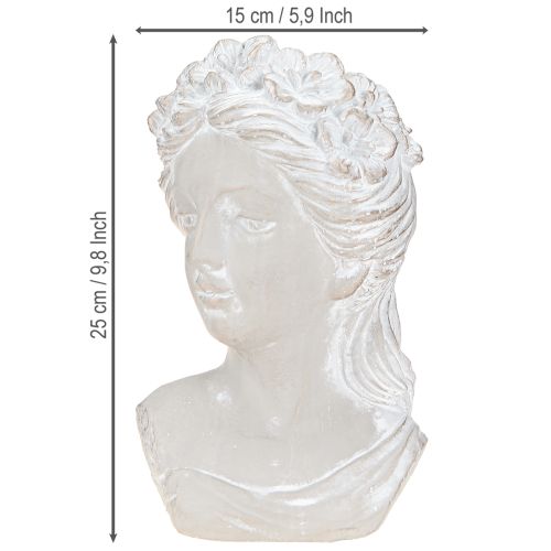 Artikel Skulptur Frauenbüste Steinguss Übertopf Grau Antik 15×14×25cm