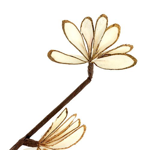 Floristik24 Sola Chips Sunny Stick Braun, Weiß 6 St.