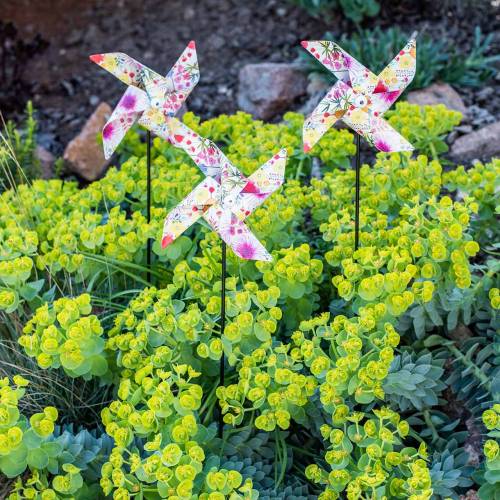 Floristik24 Sommerdeko Windmühle Ø14cm bunt am Stab 3St