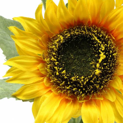 Floristik24 Sonnenblume Seidenblume 66cm
