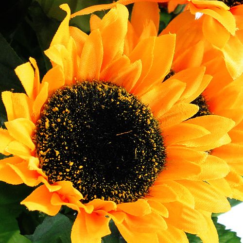 Sonnenblumenbusch 40cm