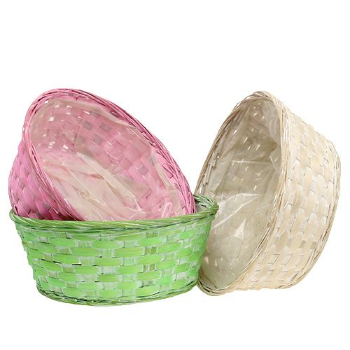 Floristik24 Spanschale rund mehrfarbig Ø25cm 6 St