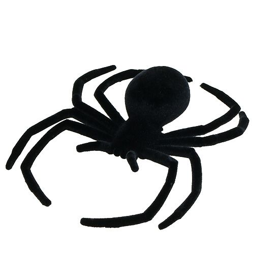 Floristik24 Spinne Schwarz 16cm beflockt