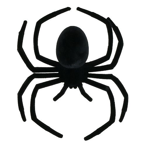 Floristik24 Spinne Schwarz 16cm beflockt