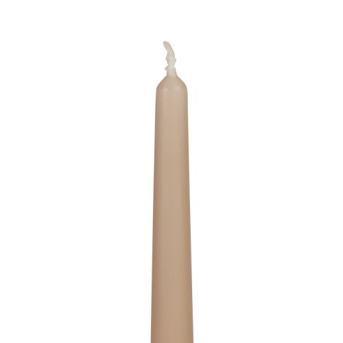 Spitzkerzen Stabkerzen Wenzel Kerzen Beige 250/23mm 12St
