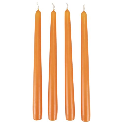 Floristik24 Spitzkerzen Stabkerzen Wenzel Kerzen Orange 250/23mm 12St