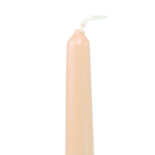 Floristik24 Spitzkerzen 250/23 Creme 12St.