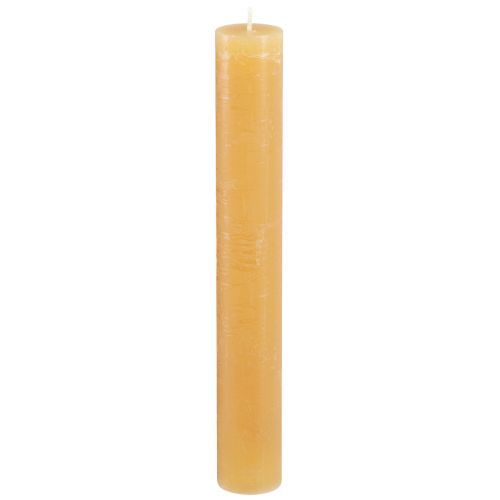Floristik24 Stabkerzen Durchgefärbte Kerzen Honig 34x240mm 4 St