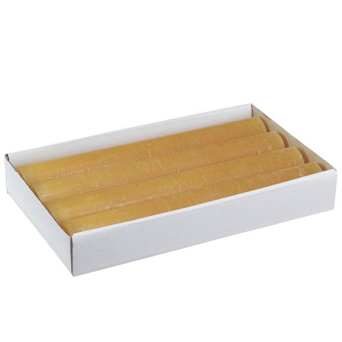 Floristik24 Stabkerzen Durchgefärbte Kerzen Honig 34x240mm 4 St