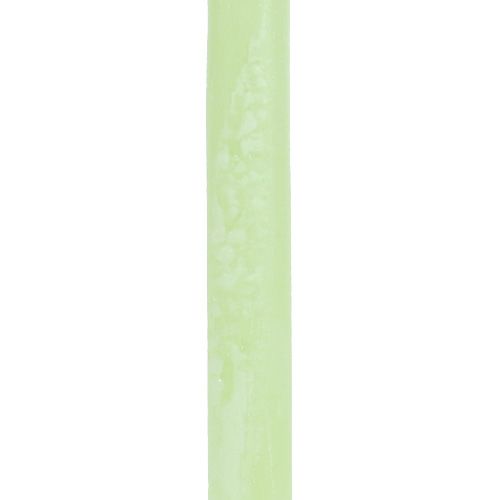 Artikel Stabkerzen durchgefärbt Lime Grün 21×240mm 12 St