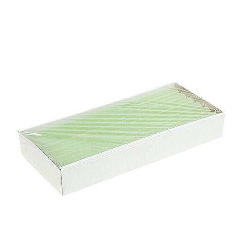 Artikel Stabkerzen durchgefärbt Lime Grün 21×240mm 12 St
