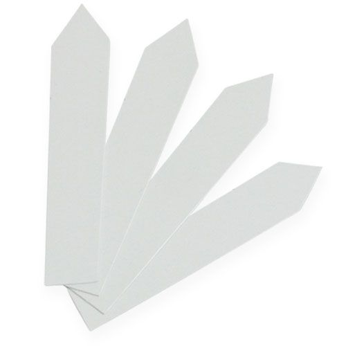 Floristik24 Stecketiketten 20mm x 140mm 250 St