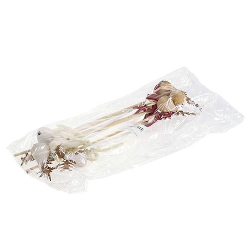 Floristik24 Stecker Elch Natur, Weiß 7cm L30cm 8St