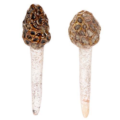 Künstlicher Deko-Morchel-Pilz aus Keramik, 13cm, Braun, 2er-Set bestellen | Floristik24.at