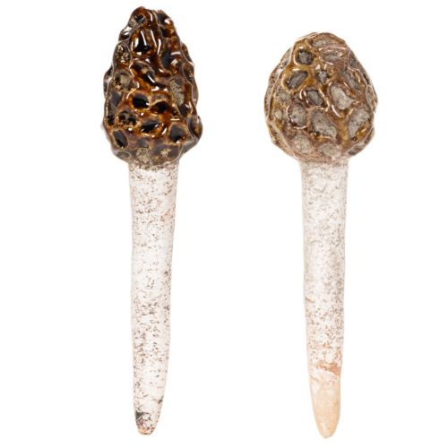 Künstlicher Deko-Morchel-Pilz aus Keramik, 13cm, Braun, 2er-Set | Floristik24.at