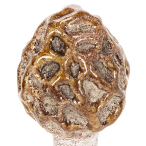 Künstlicher Deko-Morchel-Pilz aus Keramik, 13cm, Braun, 2er-Set | Floristik24.at