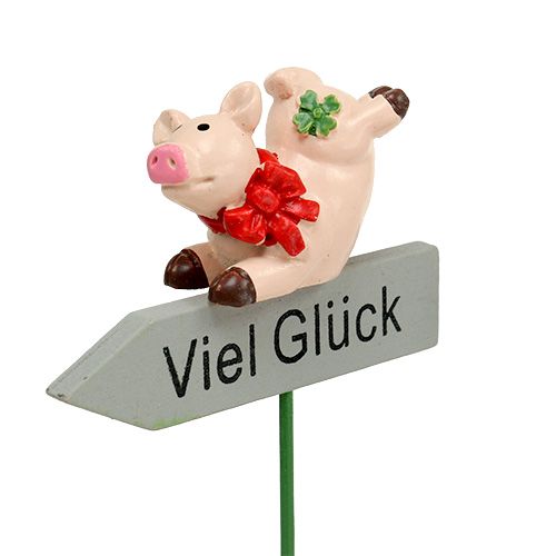 Floristik24 Stecker mit Spruch „Viel Glück“ 5cm x 7cm L23cm 12St