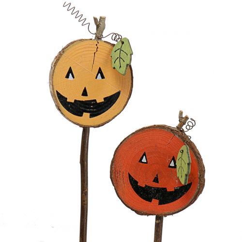 Floristik24 Stecker Kürbis Natur, Orange 8cm 12St