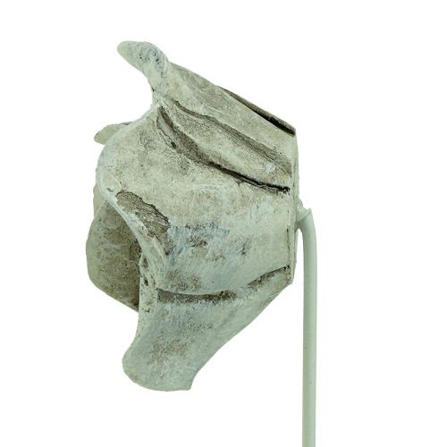 Floristik24 Stecker Rosen sort. Ø5,5cm L19cm 4St