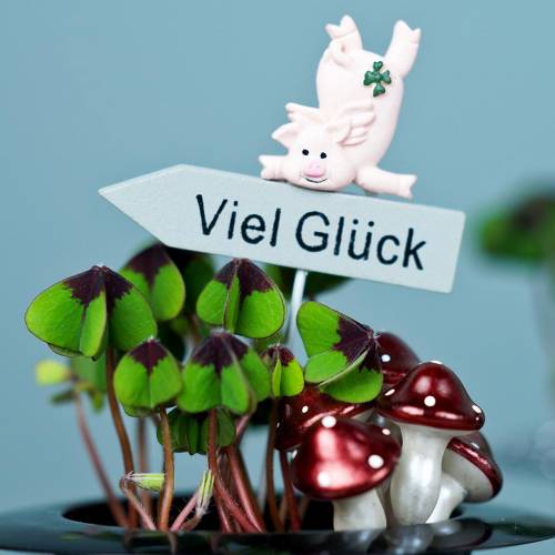 Floristik24 Stecker mit Spruch „Viel Glück“ 5cm x 7cm L23cm 12St