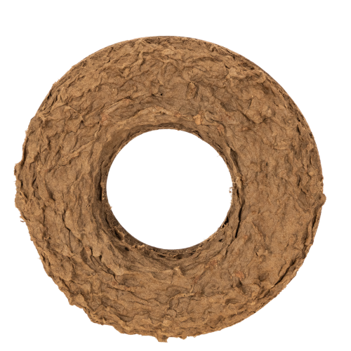 OASIS® Renewal® Biolit® Steckschaumring mit Schale, 17 cm, 2 Stück | Floristik24.at