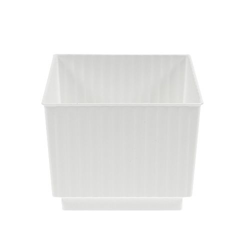 Floristik24 Steckwürfel für Steckschaum 6,5cm weiß 20St