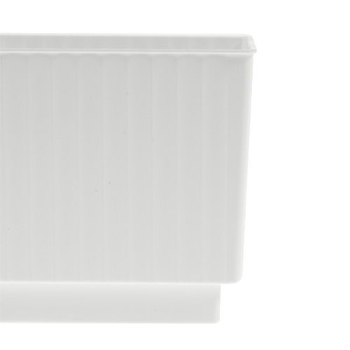 Floristik24 Steckwürfel für Steckschaum 6,5cm weiß 20St