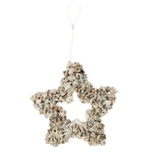 Artikel Stern zum Aufhängen Weihnachtsdeko Weiß, Glitter Ø15cm