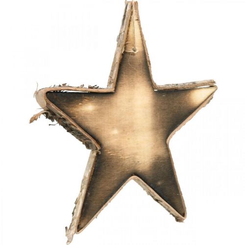 Floristik24 Holz Stern zum Hängen Natur geflammt Christbaumschmuck H15cm