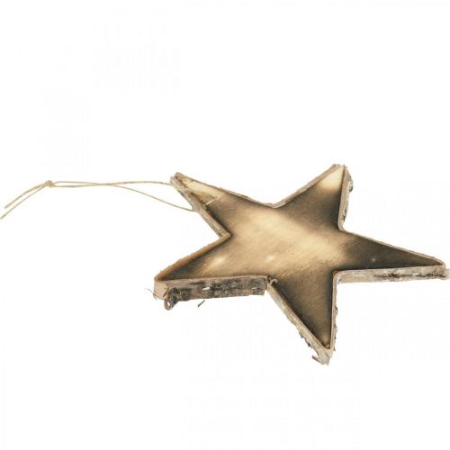 Floristik24 Holz Stern zum Hängen Natur geflammt Christbaumschmuck H15cm