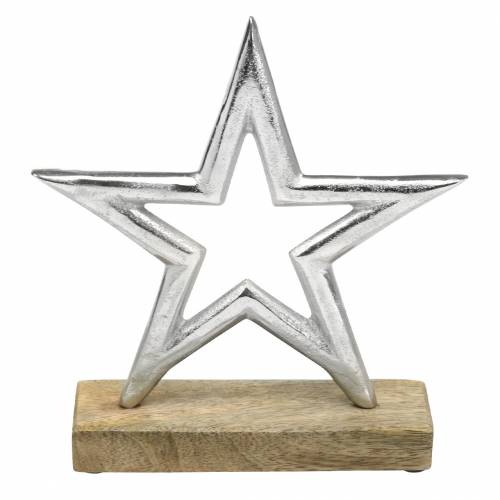 Floristik24 Stern zum Aufstellen Mango, Metall Silbern 21×16,5cm
