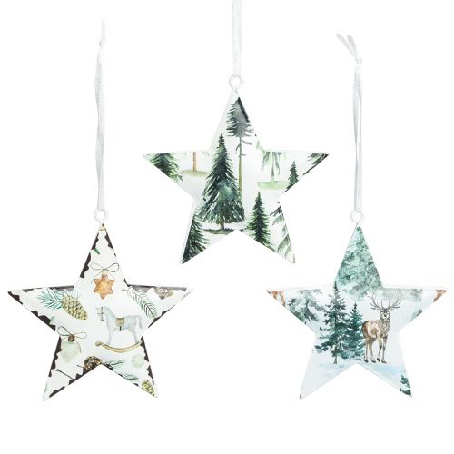 Floristik24 Sternanhänger mit Motiven Christbaumschmuck 8cm 6 St