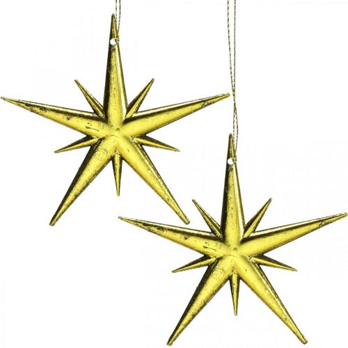 Floristik24 Weihnachtsdeko Stern Anhänger Golden B11,5cm 16St