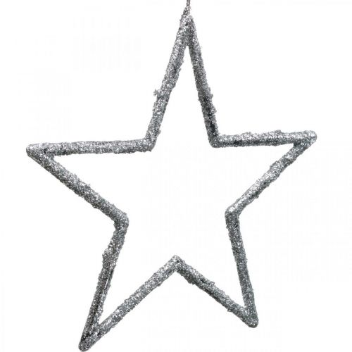 Floristik24 Stern zum Hängen, Christbaumschmuck, Deko Stern Silbern 11,5×12cm 12St
