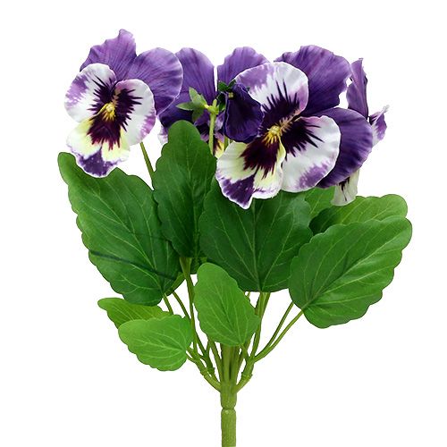 Stiefmutterchen Lila 30cm 82197 Einkaufen In Osterreich